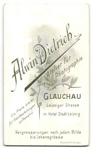 Fotografie Alwin Dietrich, Glauchau, Leipziger Strasse, Porträt eines Mannes mit Schnurrbart