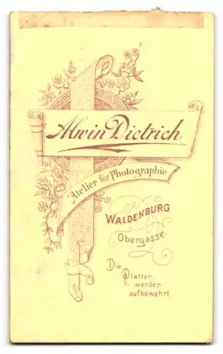 Fotografie Alwin Dietrich, Waldenburg, Obergasse, Porträt einer Dame mit elegantem Kleid