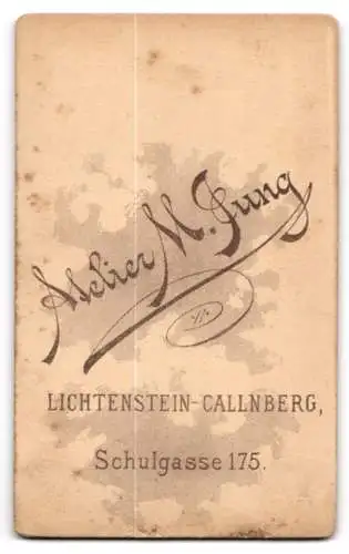 Fotografie M. Jung, Lichtenstein-Callnberg, Schulgasse 175, Porträt einer Frau in hochgeschlossenem Kleid