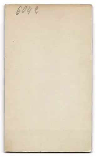 Fotografie F. Fuchs, Berlin, Friedrichstrasse 108, Porträt einer Dame