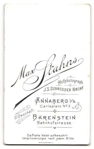 Fotografie Max Stahns, Annaberg, Carlsplatz No. 3, Porträt eines jungen Mannes