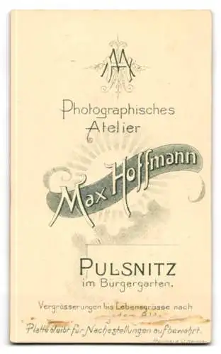 Fotografie Max Hoffmann, Pulsnitz, Bürgergarten, Porträt einer Frau im karierten Kragen