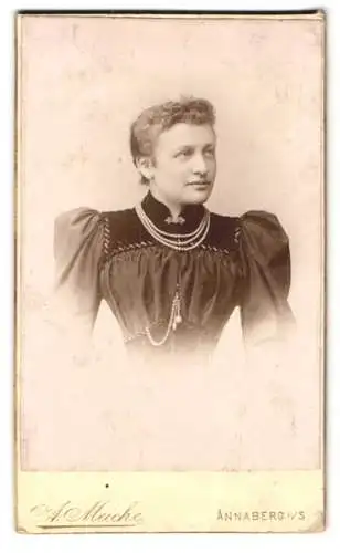 Fotografie A. Meiche, Annaberg, Zickzackpromenade, Porträt einer Dame