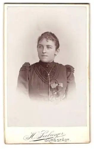 Fotografie H. Seeburger, Burgstädt, Porträt einer Dame