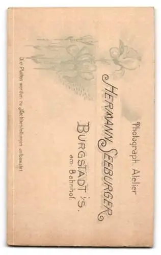 Fotografie H. Seeburger, Burgstädt, Porträt einer Dame