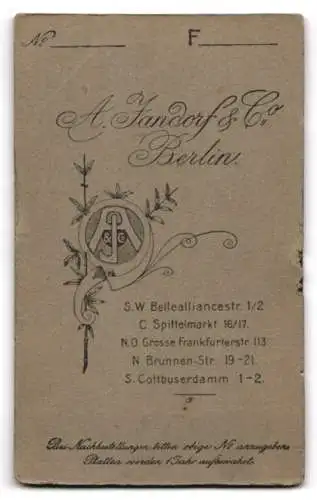 Fotografie A. Jandorf &amp Co., Berlin, Bellealliancestr. 1 /2, Portrait einer würdevollen Frau