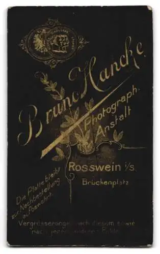 Fotografie Bruno Hancke, Rosswein, Brückenplatz, Porträt eines eleganten Herrn
