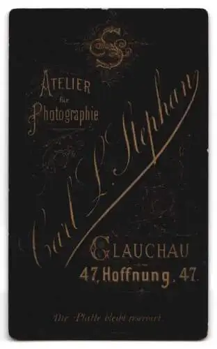 Fotografie Carl L. Stephan, Glauchau, Hoffnung 47, Porträt einer eleganten Dame