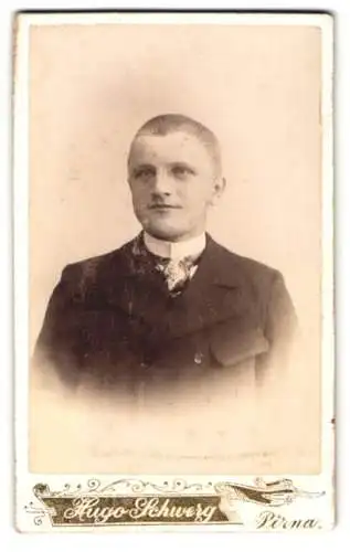 Fotografie Hugo Schwerg, Pirna, Albertstrasse 13, Portrait eines Mannes in Anzug