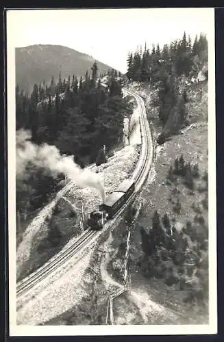 AK Schneebergbahn, Zahnradbahn auf den Hochschneeberg unter Volldampf