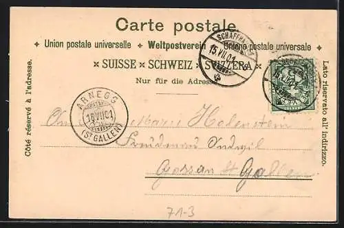 AK Rheinfall, Fernblick