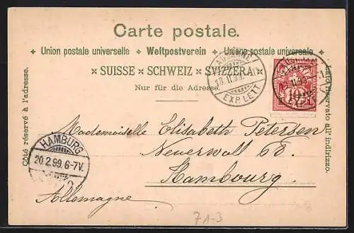 AK Rheinfall, Fernblick