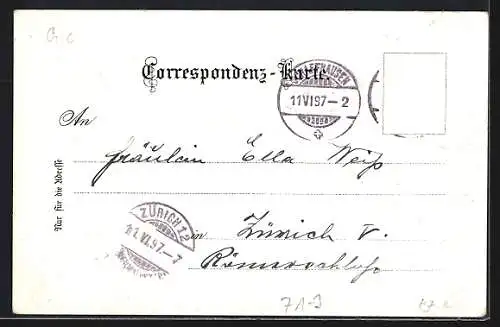 Lithographie Neuhausen am Rheinfall, Ortsansicht mit dem Rheinfall
