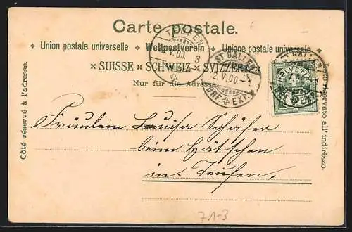 AK Rheinfall, Fernblick