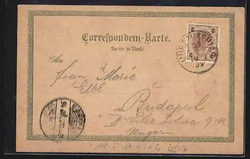 Vorläufer-Lithographie Tiroler Sennerin in den Bergen