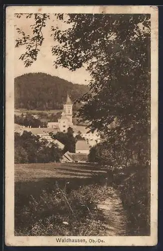 AK Waldhausen /Ob.-Oe., Teilansicht mit Baum