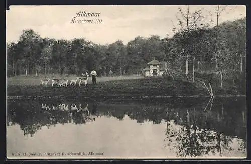 AK Alkmaar, Hertenkamp