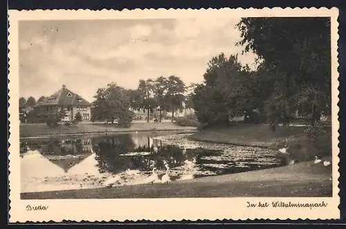 AK Breda, In het Wilhelminapark