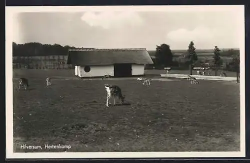AK Hilversum, Hertenkamp