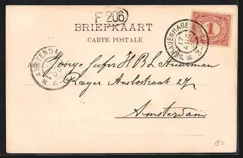 AK s`Gravenhage, Delftsche Weg