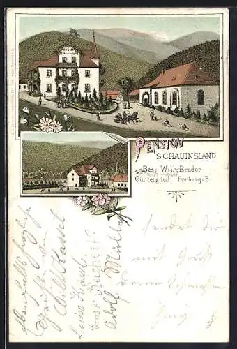 Lithographie Freiburg / Breisgau, Pension Schauinsland, Bes. Wilh. Bruder