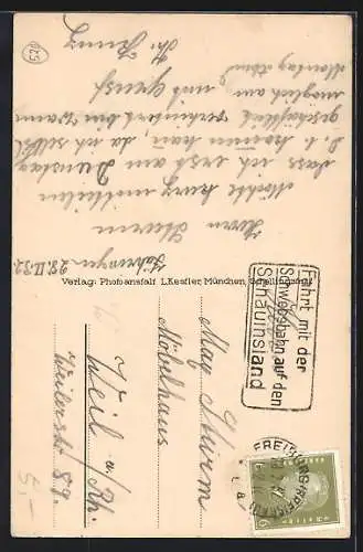 AK Freiburg-Zähringen, Gasthaus Restauration zum Türmle H. Mildenberger, Gesamtansicht mit Fernblick aus der Vogelschau