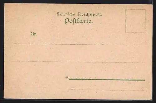 Lithographie Zürich, Teilansicht mit Brücken, Escherdenkmal, Schutzmarke Hoffmann`s Stärkefabriken