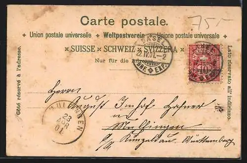 Lithographie Basel, St. Jacobs Denkmal, alte Rheinbrücke, Strassburger Denkmal