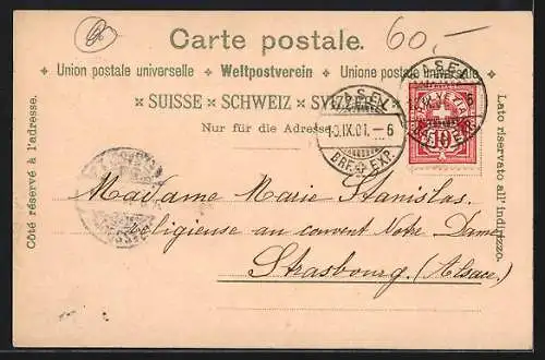 Lithographie Basel, St. Jakobsdenkmal, alte Rheinbrücke, Strassburger-Denkmal