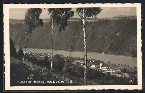 AK Engelhartszell a. d. Donau, Teilansicht mit Fluss