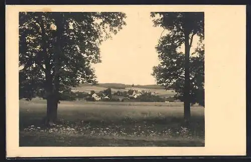 AK Treubach, Blick über die Wiese auf den Ort