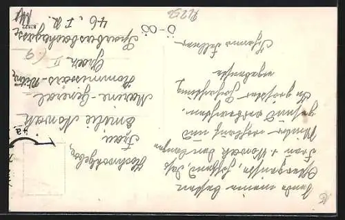 AK Wels, Rotwild im Hirschpark