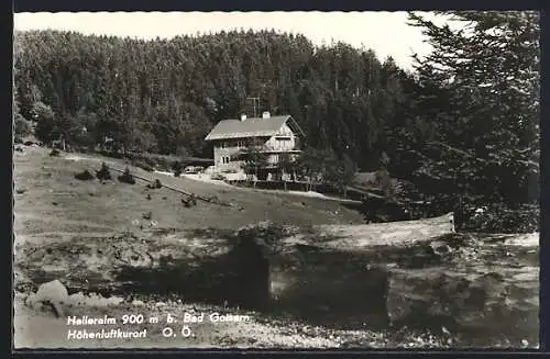 AK Bad Goisern, Höhenluftkurort Halleralm