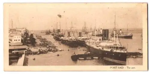 Mini-AK Port Said, The Port