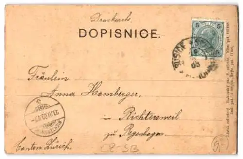 Relief-AK Zvikov, Blick auf die Burg