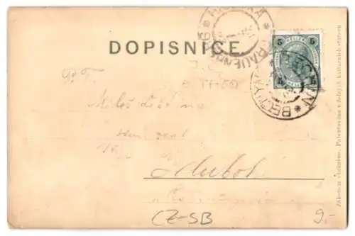 Relief-AK Bechyne, Teilansicht der Ortschaft