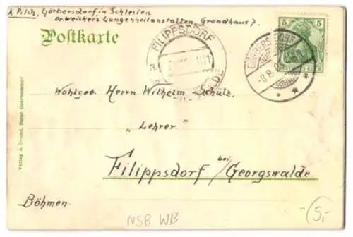 Relief-AK Goerbersdorf i. Schles., Ortsansicht mit Umgebung
