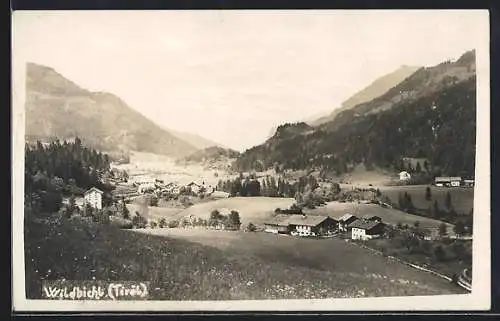 AK Wildbichl /Tirol, Gesamtansicht von einer Wiese aus