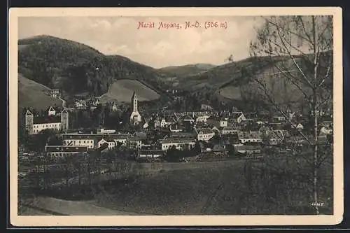 AK Aspang /N.-Ö., Teilansicht mit Kirche