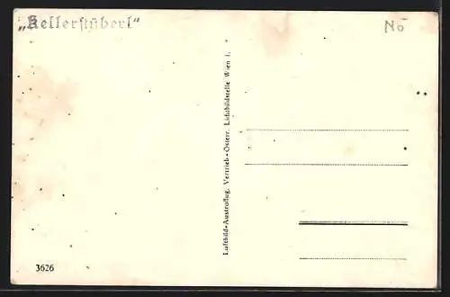AK Altenburg, Benediktinerstift von Nord-Westen, Fliegeraufnahme