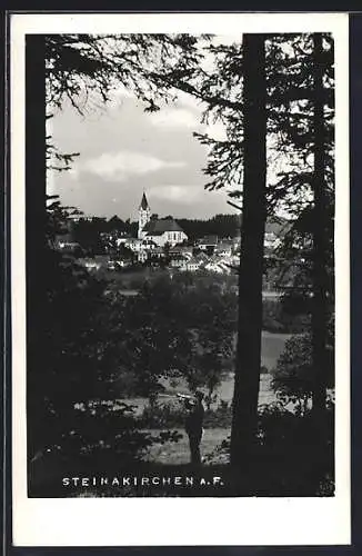 AK Steinakirchen a. Forst, Ortsansicht, Mann mit Trompete