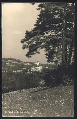 AK Steinakirchen a. Forst, Panorama mit Kirche