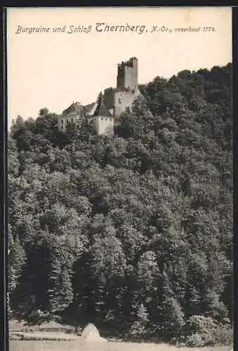 AK Ternberg /N.-Oe., Burgruine und Schloss