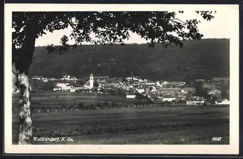 AK Schrattenthal /N.-Oe., Waitzendorf, Ortsansicht