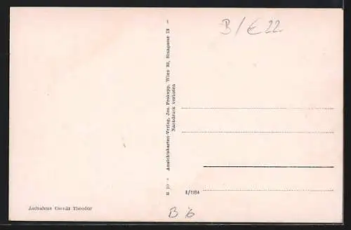 AK Unterpullendorf, Ortspartie mit Säule und Pferdefuhrwerk