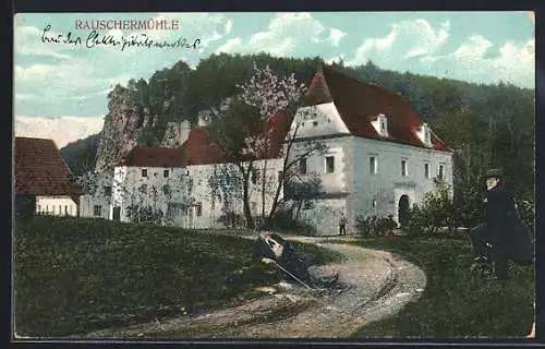 AK Altenburg /N.-Oe., Rauschermühle im Frühling