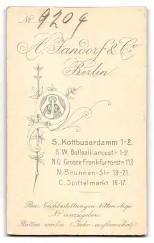 Fotografie A. Jandorf &amp Co., Berlin, Kottbusserdamm 1-2, Porträt einer Dame