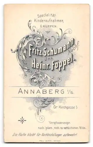 Fotografie Heinrich Föppl, Annaberg, Gr. Kirchgasse 5, Porträt eines Herrn mit Brille