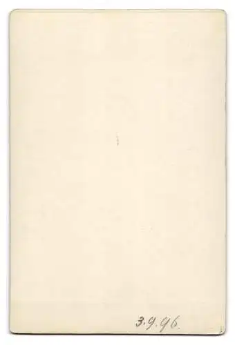Fotografie L. Haidinger, Zell am See, Ansicht Kaprun, der Kesselfall / Wasserfall mit Aufstieg
