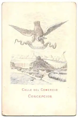 Fotografie Juan de la Cruz Palomino, Concepción, junger Chilene im Poncho mit Halstuch und Hut, Tracht